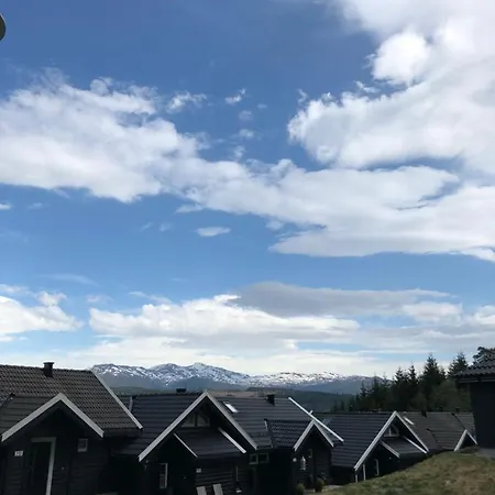 Voss Hytte/cabin Skulestadmo