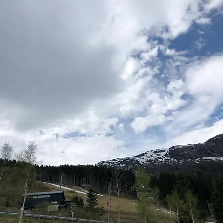 Voss Hytte/cabin Skulestadmo