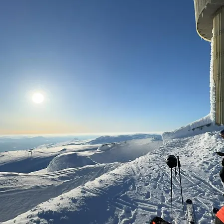 Voss Hytte/cabin Skulestadmo