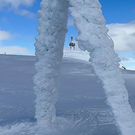 Voss Hytte/cabin * Skulestadmo