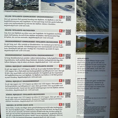 Voss Hytte/cabin Σαλέ Skulestadmo