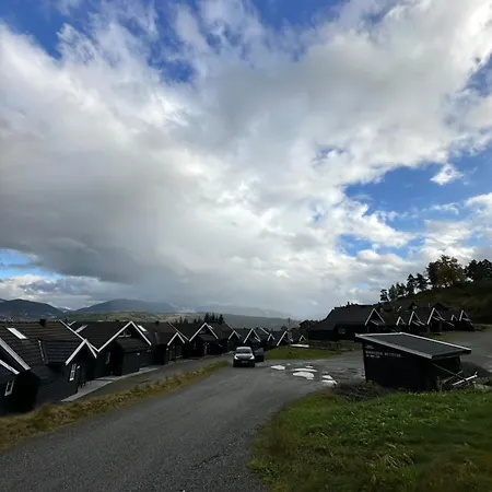 Voss Hytte/cabin Skulestadmo