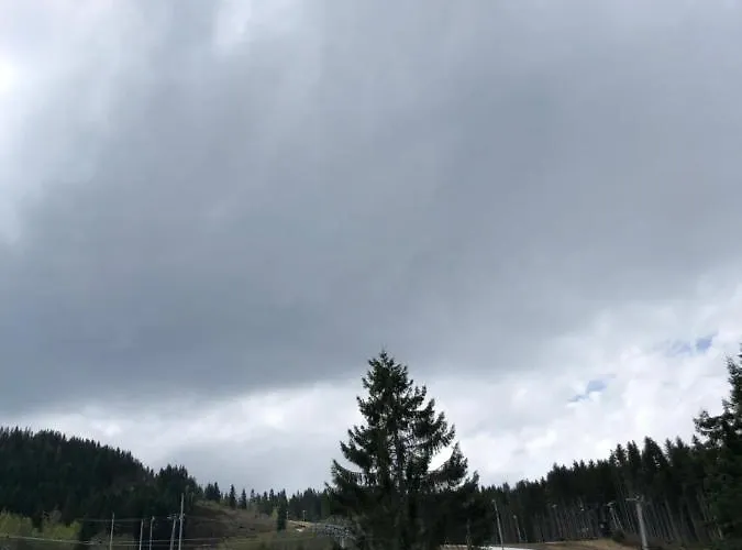 Chalet Voss Hytte/cabin *