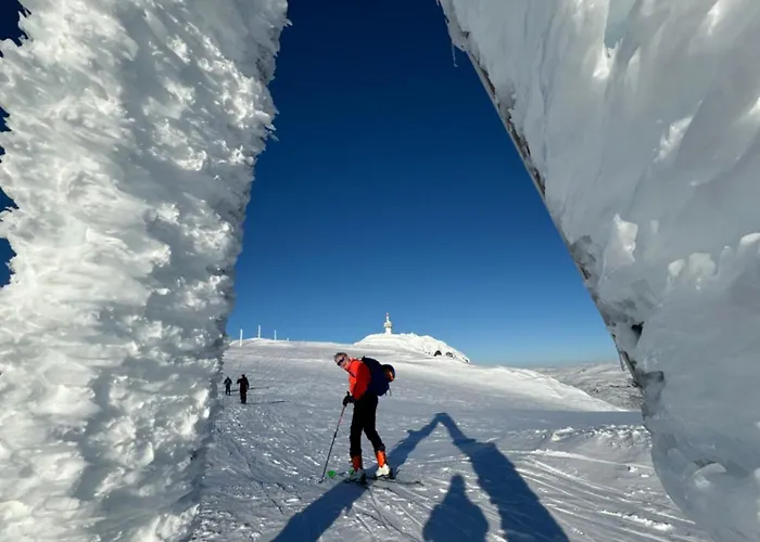 Domek alpejski Voss Hytte/cabin