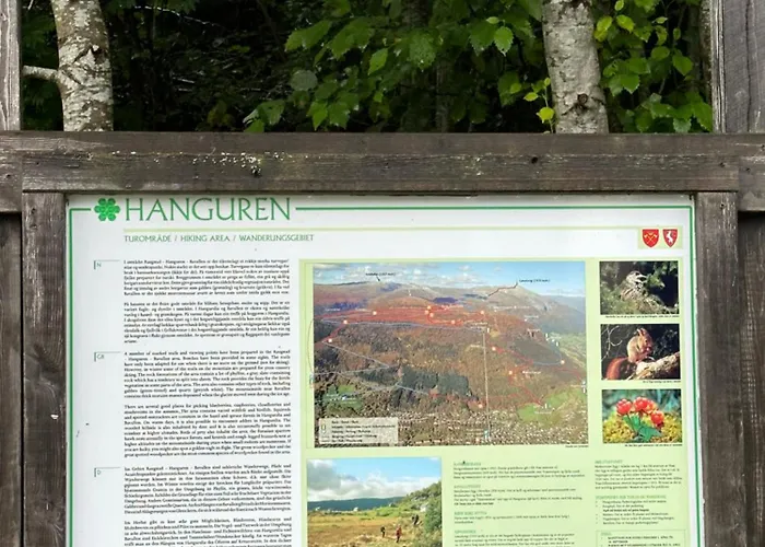 Voss Hytte/cabin 스컬스타드모