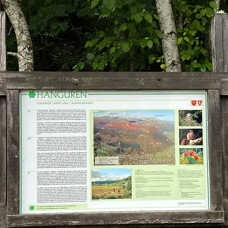 Voss Hytte/cabin Skulestadmo