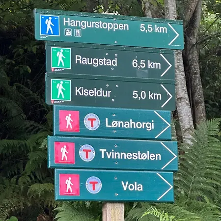 Voss Hytte/cabin Alpesi faház